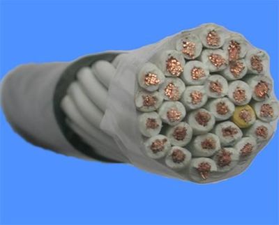 ||金牌產品||淮北計算機電纜報價//淮北電線電纜生產廠家-由天津市電纜總廠第一分廠發布-中國五金商機網提供平臺!