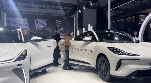 烏魯木齊市米東區(qū)9家汽車(chē)銷(xiāo)售企業(yè)進(jìn)入市社會(huì)消費(fèi)品零售總額50強(qiáng)